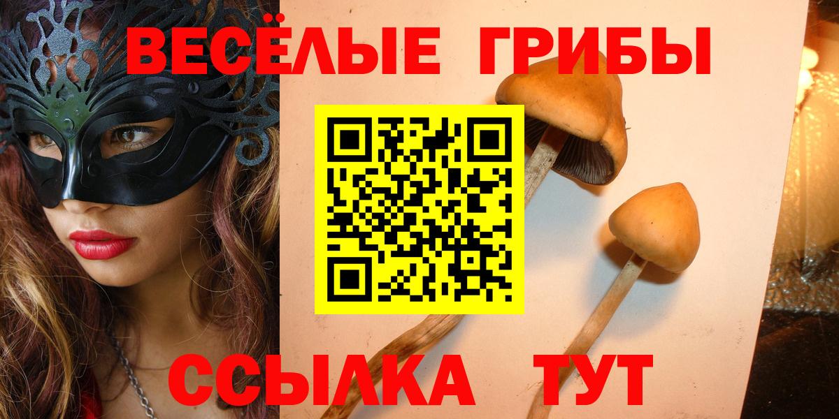 Псилоцибиновые грибы ЛСД  Вход с VPN  Галлюциногенные грибы ЛСД  Чебаркуль 